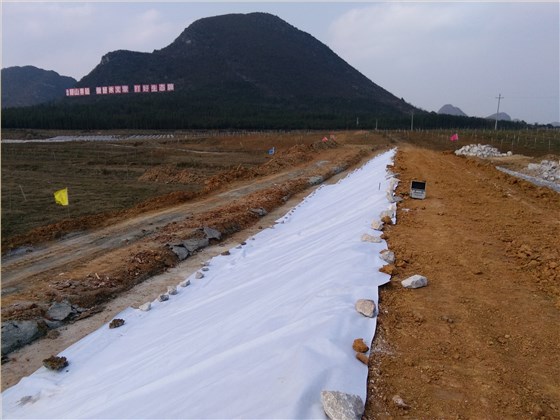 安顺山塘复合膜施工