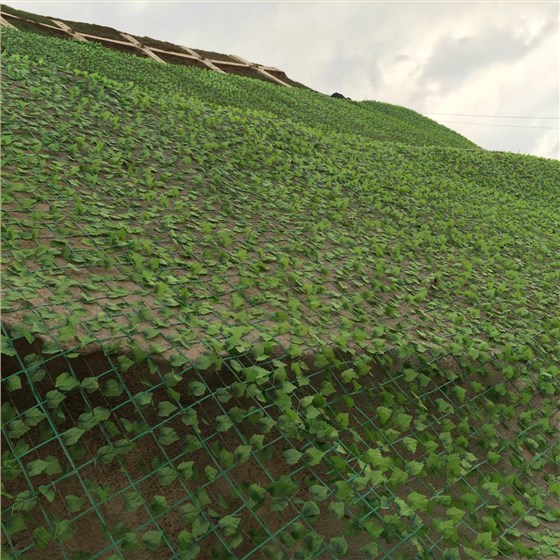 4306660157626211