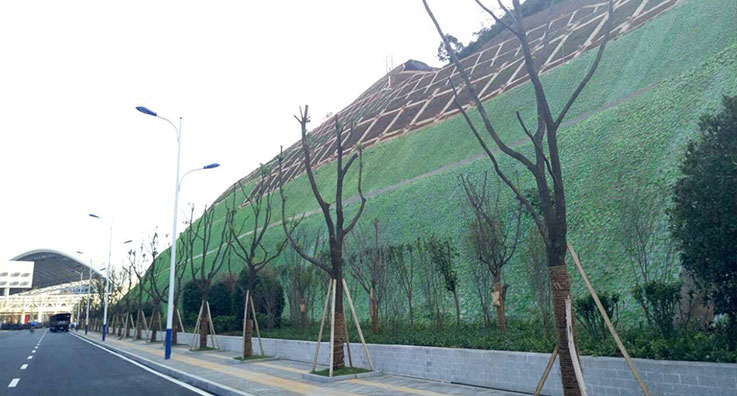 贵阳机场边坡绿化工程案例