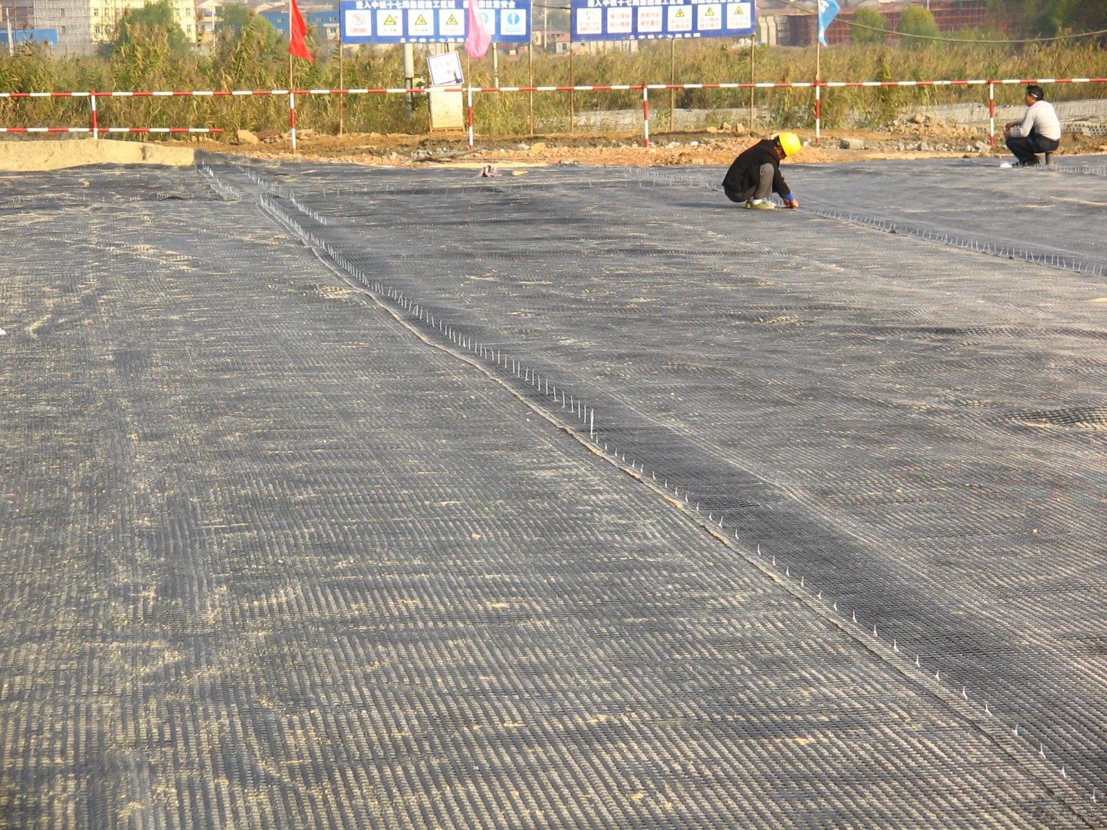 土工格栅