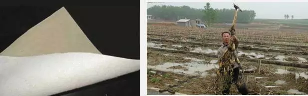 复合土工膜，藕池